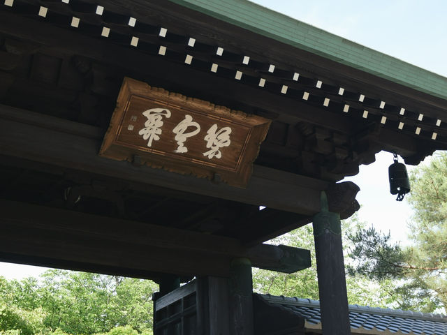 東京🇯🇵日本最萌貓咪神社⛩️豪德寺🐱