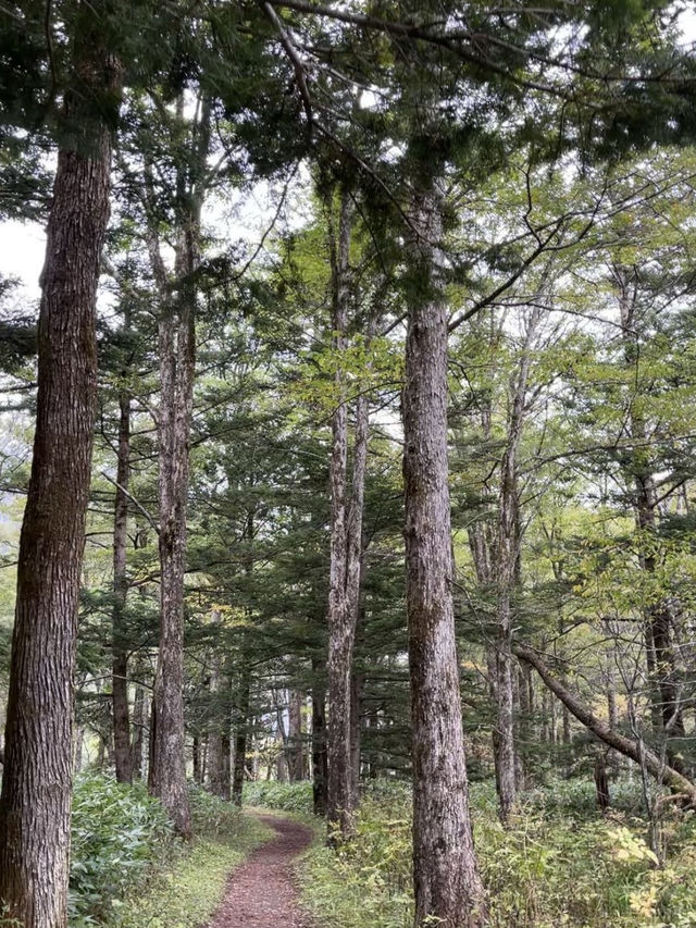 【長野県】自然を求めて上高地へ⛰️