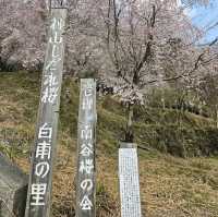 3色混ざったこの景色が美しい