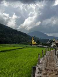 วัดนาคูหา