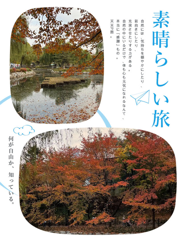 首爾市區秋景必選之一