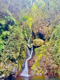 Waterfall Wonderland: Hiking to Ng Tung Chai Waterfalls, Hong Kong
