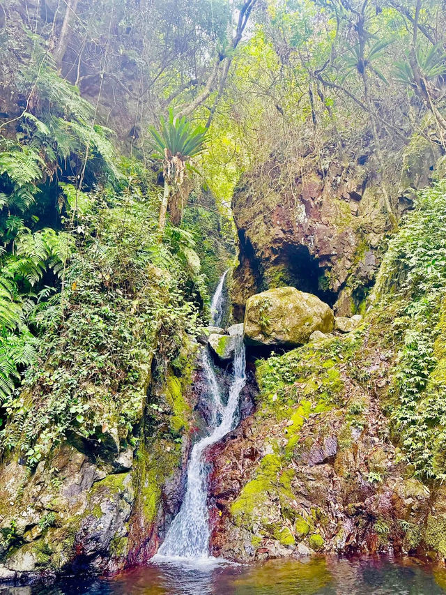 Waterfall Wonderland: Hiking to Ng Tung Chai Waterfalls, Hong Kong