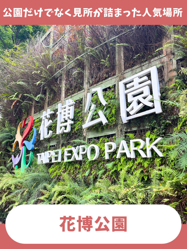 【台北女一人旅】個人旅行でも行きやすい！行っておきたいオススメ観光地三選！