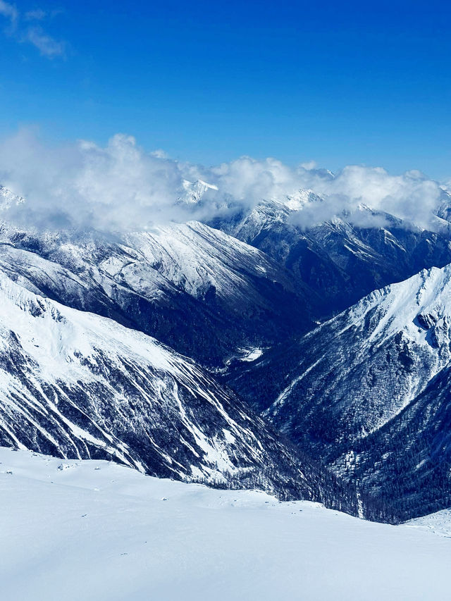 Dagu Glacier:  alpine paradise