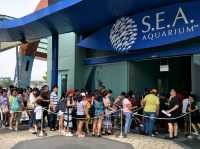 #新加坡S.E.A Aquarium-新加坡聖淘沙島
