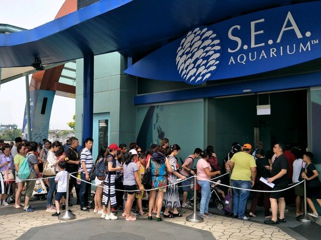 #新加坡S.E.A Aquarium-新加坡聖淘沙島