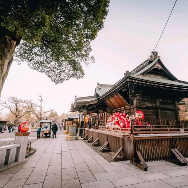 Shorinzan Darumaji Temple