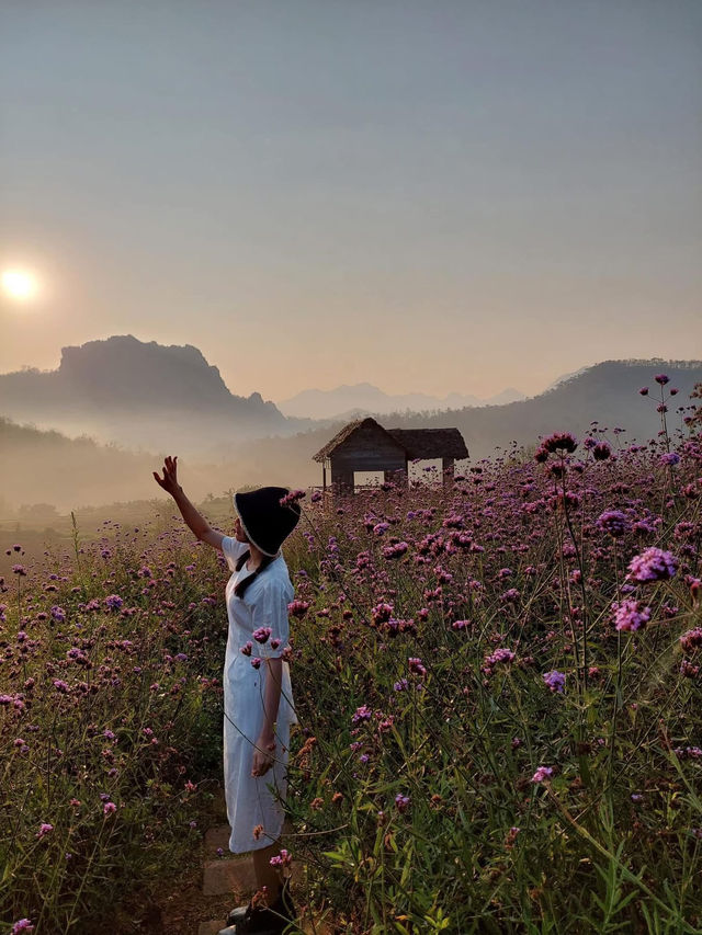ไร่ภูผาหมวก “สวยดุจภาพวาด”🏞️