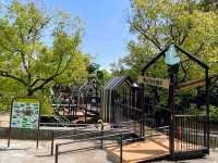 江坂公園賞櫻，因大阪首屆世博會而發展的都會區