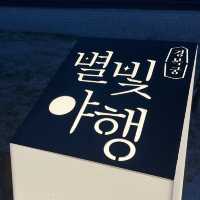 [국내] 경복궁 : ✨ 이색 야간데이트 🌠