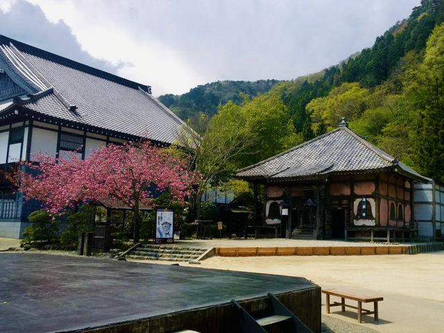 Step Back in Time at Edo Wonderland