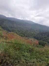 อาหยงคาเฟ่ @ ภูทับเบิก