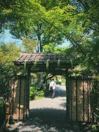 東京の庭園巡りは風流と花と自然を感じたいならココ！