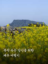 ’폭싹 속은‘ 당신을 위한 제주 여행지-
