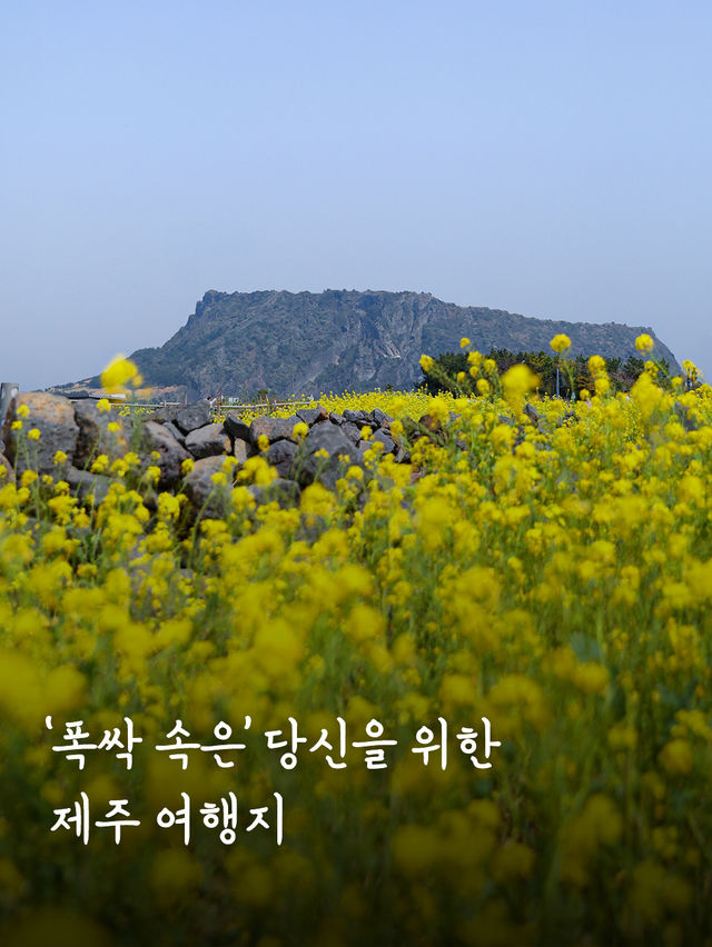 ’폭싹 속은‘ 당신을 위한 제주 여행지-