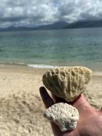 Cairns trip