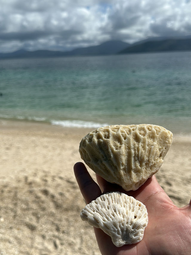 Cairns trip