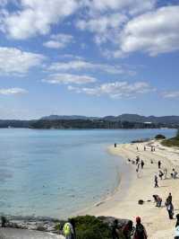 沖繩你不能不去的美麗海水族館🪼