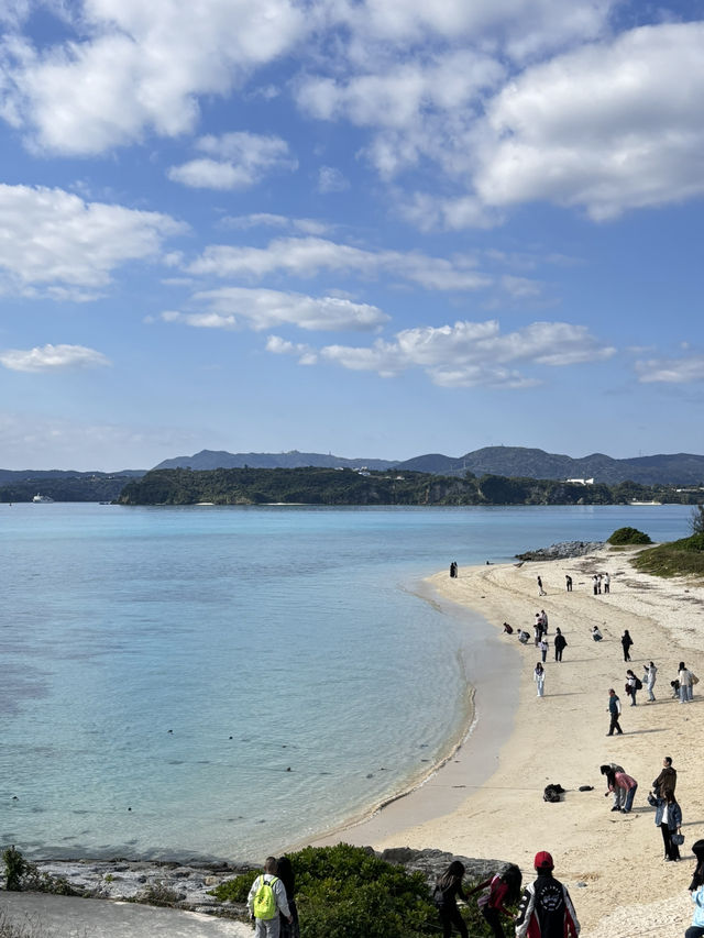 沖繩你不能不去的美麗海水族館🪼