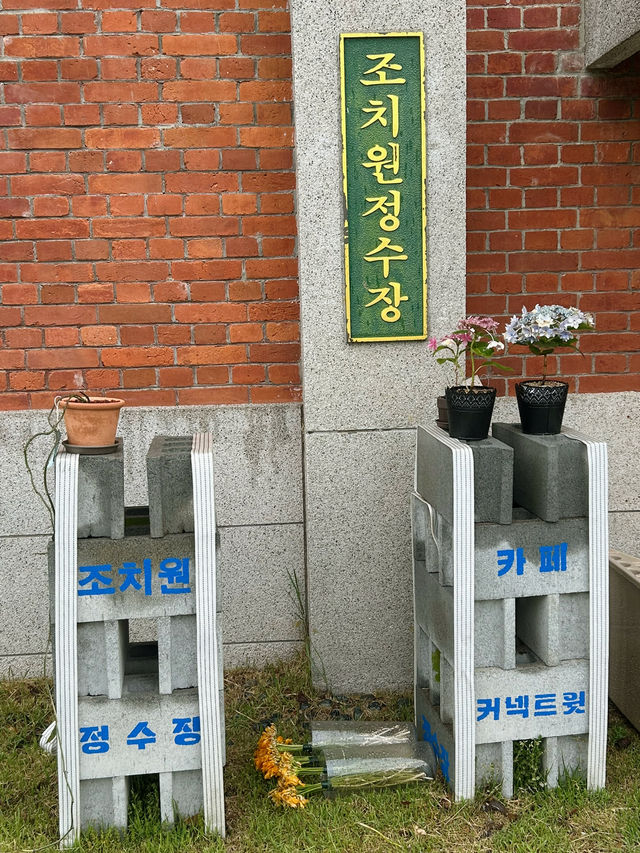 재생공간, 느낌 좋은 감성 가득한 힐링카페, 조치원정수장📍☕️