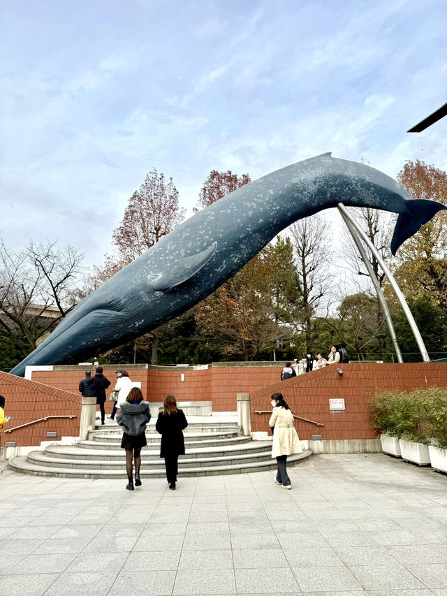 Weekend Wandering in Ueno – Culture, Parks & Panda Treats
