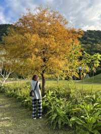 石門水庫｜北台灣四季皆宜的湖光山色與生態樂園 