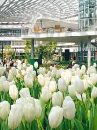📍: Miracle of Natural🌷โครงการ PTT LN