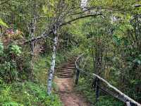 A Hidden Gem for Spring Travelers