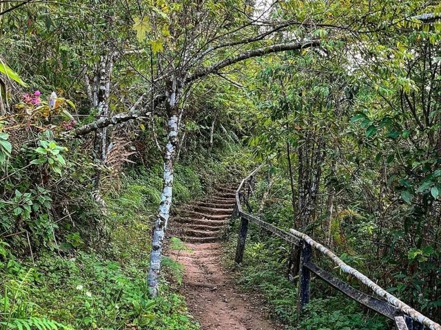 A Hidden Gem for Spring Travelers