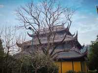 🧘‍♂️ 杭州靈隱寺：千年古剎的靜謐禪旅