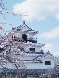 從大阪到仙台賞櫻最快交通：日本國內線飛機攻略