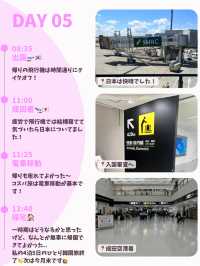 【韓国旅行】4泊5日のひとり韓国旅🇰🇷✈️(後編)