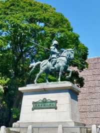 Local Wandering in Kōchi – Castles, Coastlines & Quiet Moments