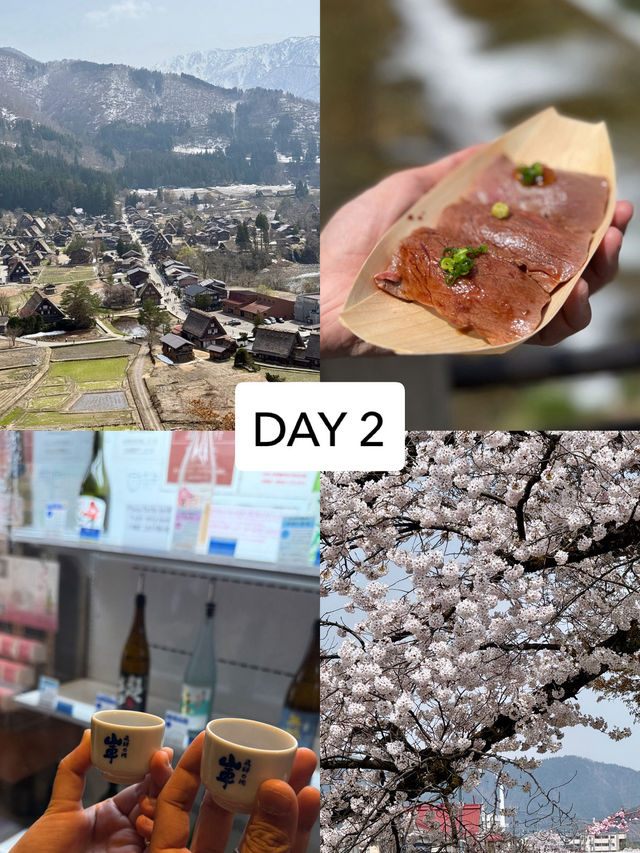 Chill 3D2N Nagoya with good food & tips 🏯🍜