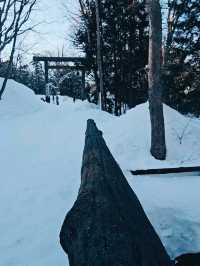 BEAUTIFUL PARK.