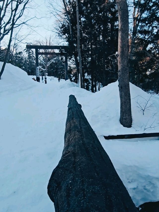 BEAUTIFUL PARK.