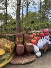 2 Day Da Lat Trip (Cold in Vietnam)