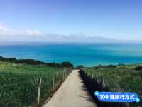 📍紐西蘭。【穿越岩壁的祕密沙灘】Tunnel Beach隧道裡藏著南島的海邊驚喜
