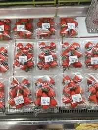 กินสตอเบอรี่ที่ฮอกไกโดกัน