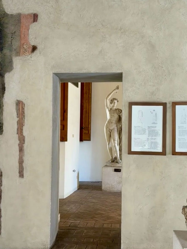 🏛 羅馬藏在市區中的古典寶藏｜阿爾騰普斯宮 Palazzo Altemps