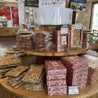 無料で楽しめるバラ園やアスレチック！