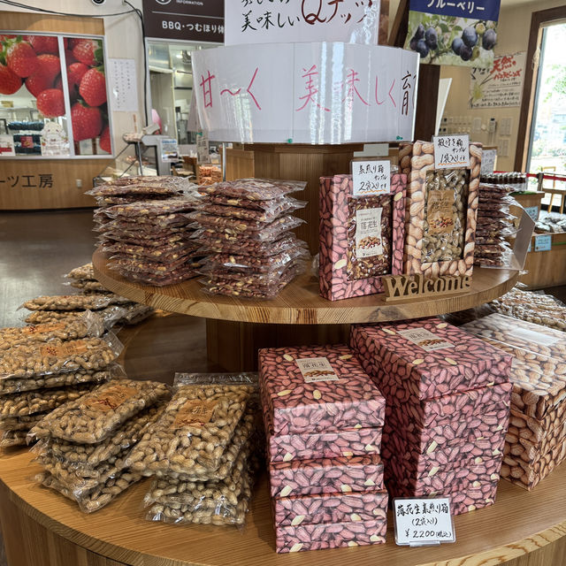 無料で楽しめるバラ園やアスレチック！