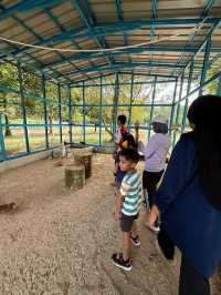 A Fun Day at ARBA Equine Archery Park – Horses, Archery & Petting Zoo!
