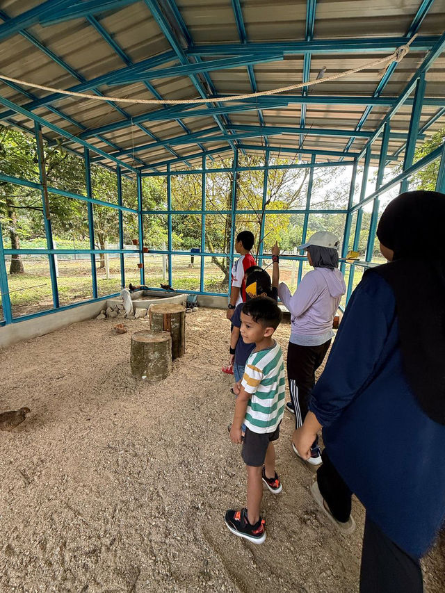 A Fun Day at ARBA Equine Archery Park – Horses, Archery & Petting Zoo!