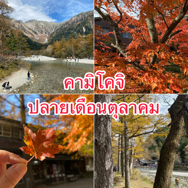 คามิโคจิ ปลายเดือนตุลาคม