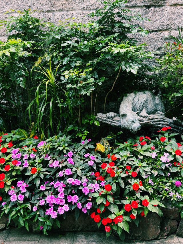 端午節好去處｜香港動植物公園的節日體驗