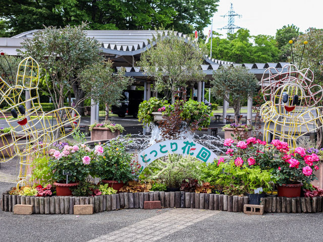 【鳥取県】 四季折々の花々が見渡せる西日本最大級のフラワーパーク『とっとり花回廊』