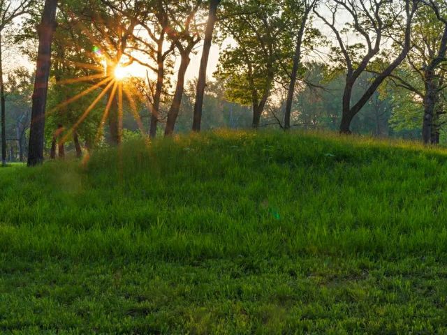 Sacred Paths: Hiking Through Effigy Mounds