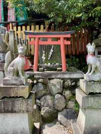 A Gentle Day in Yamashina – Temples, Trails & Tea